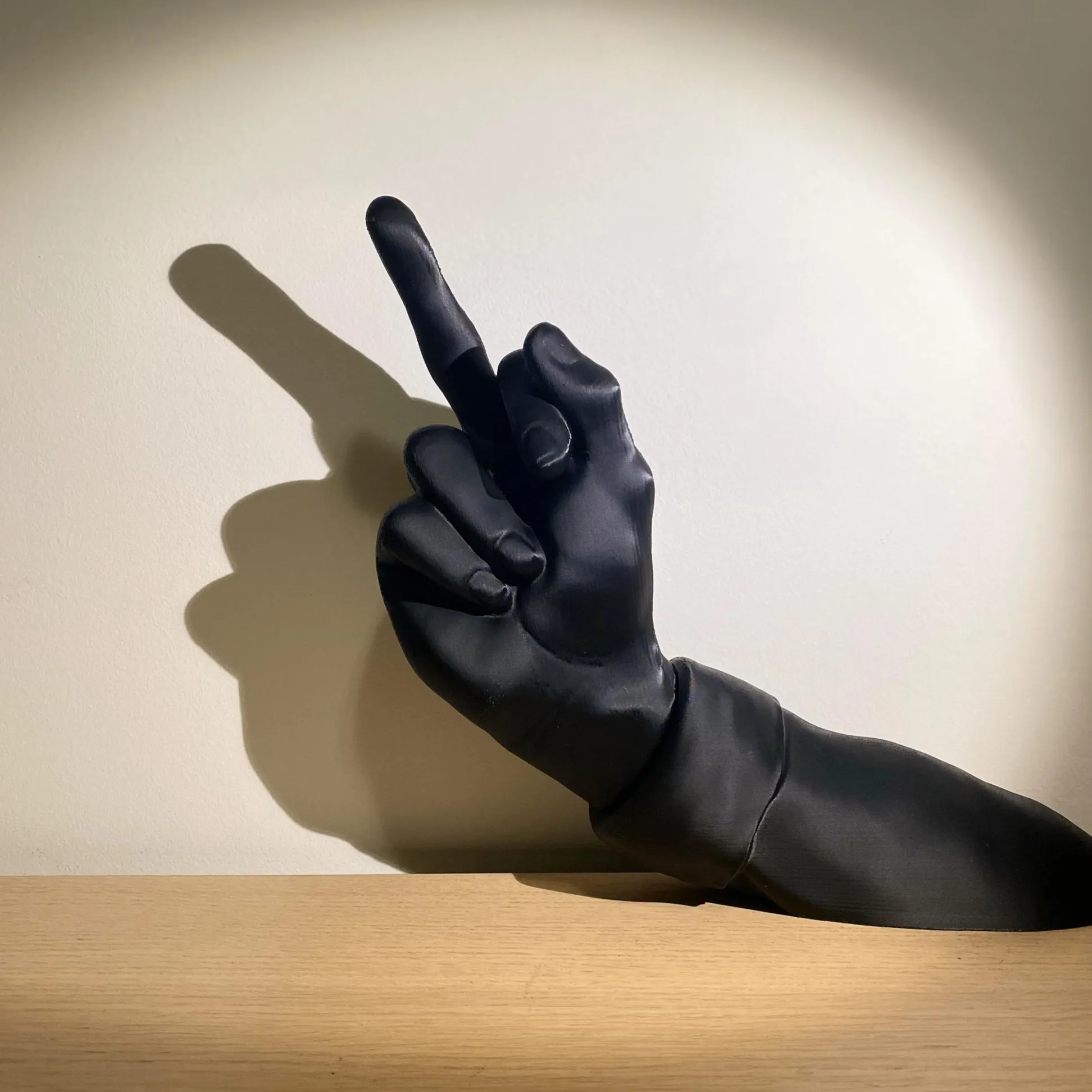 Unique Middle Finger Wine Rack