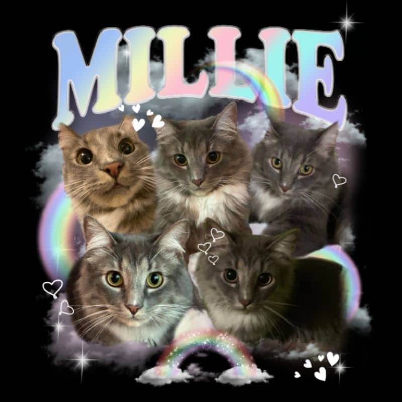 "RAINBOW" HANDCRAFT TEE