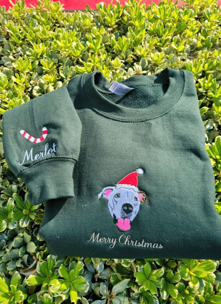 Christmas Custom Pet Face Color Portrait Santa Holiday Crewneck Sweatshirt