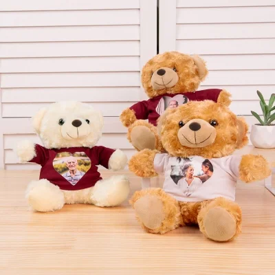 Personalized Memory Bear with Photo, Custom Heart Picture Teddy Bear, Remembrance Bear Plush Stuffed Animal, Memorial Gift, Celebration of Life Gift