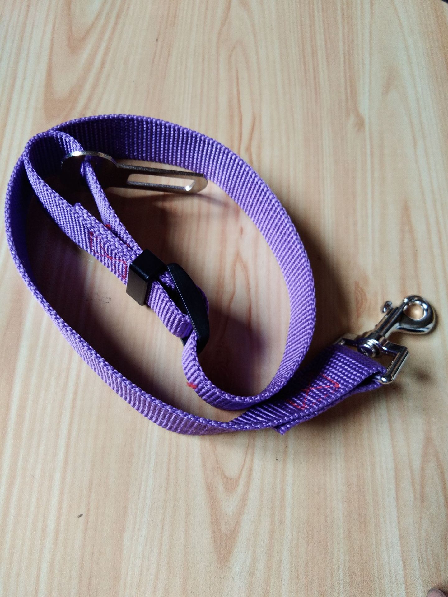 Bully Proof Collar