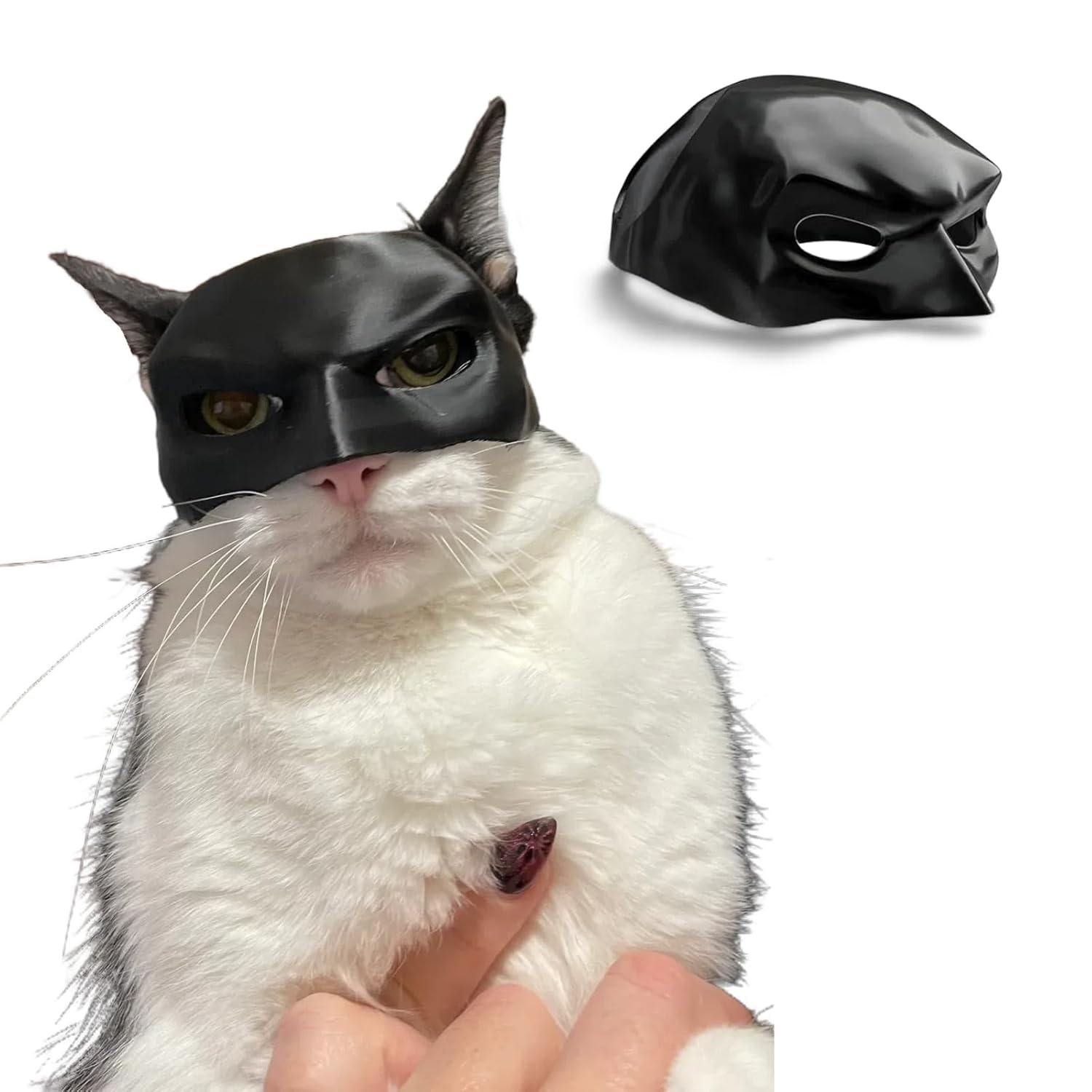 Personalized Cat Bat Cosplay Hat Bat Cat Mask Custom Cat Bat Hat Pet Halloween Gift for Cat 