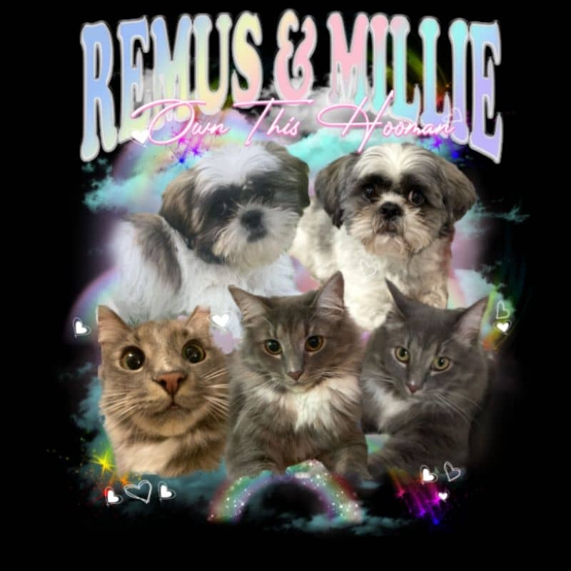 THIS HOOMAN BELONGS TO TEE