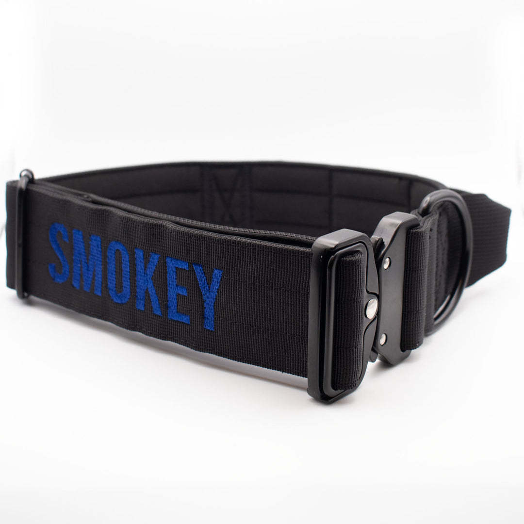Bully Proof Collar