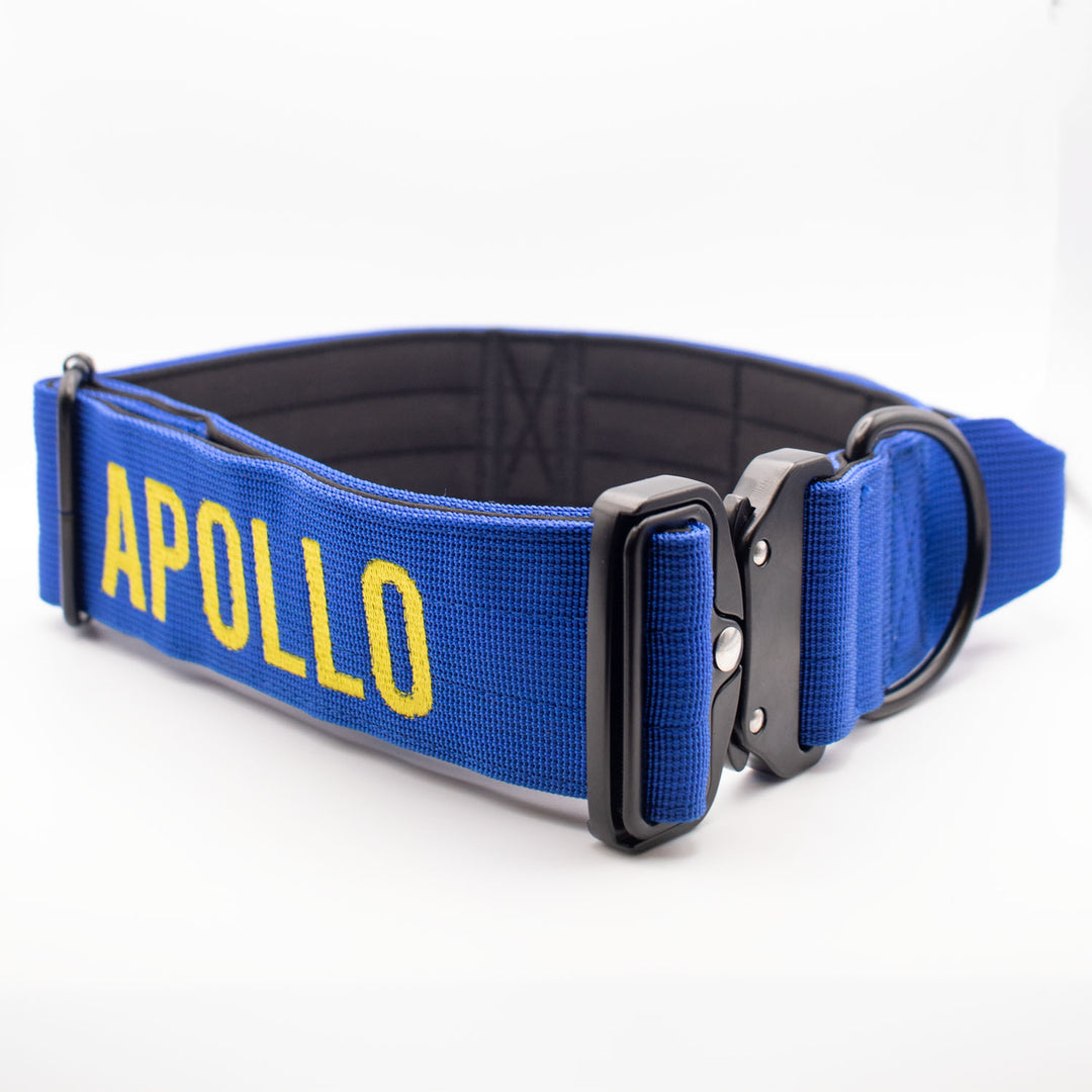 Bully Proof Collar