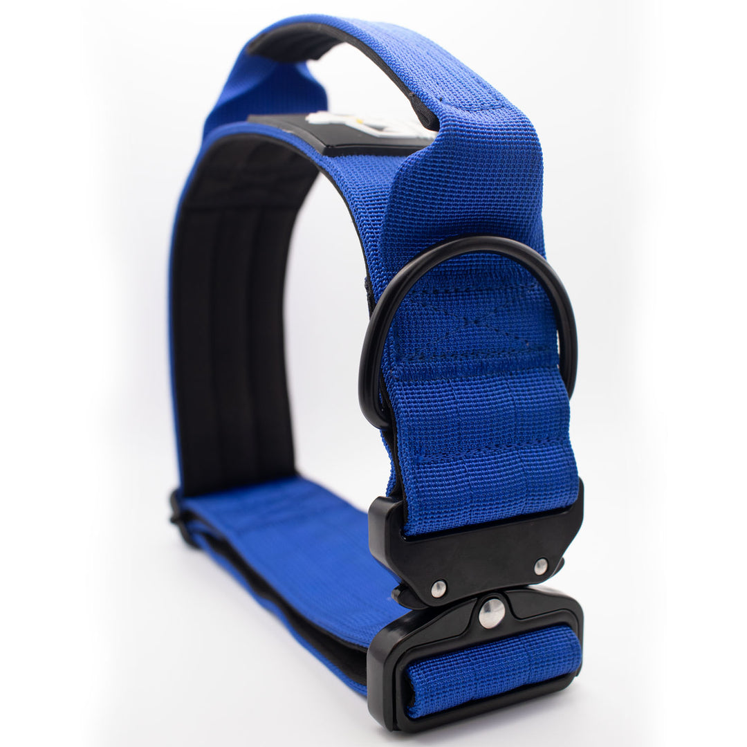 Bully Proof Collar