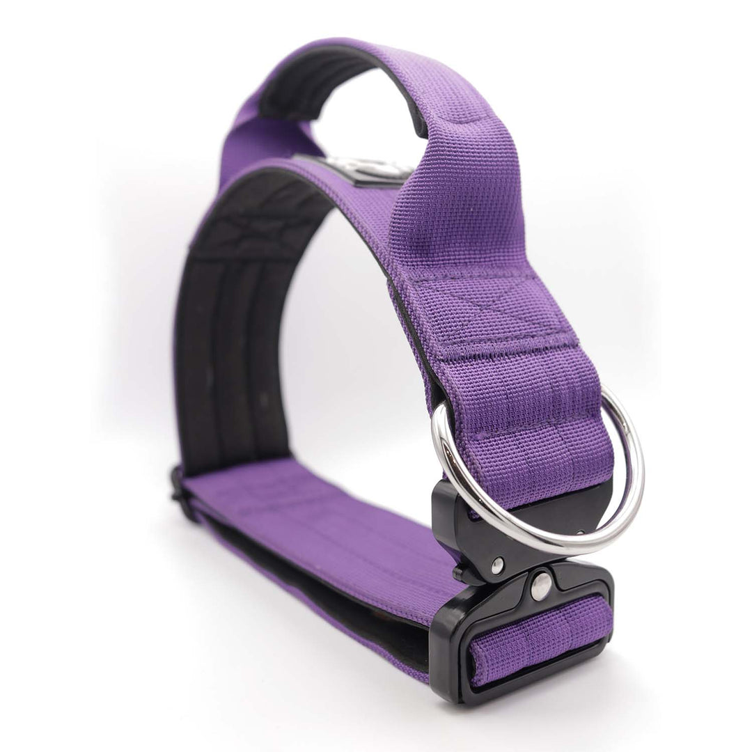 Bully Proof Collar