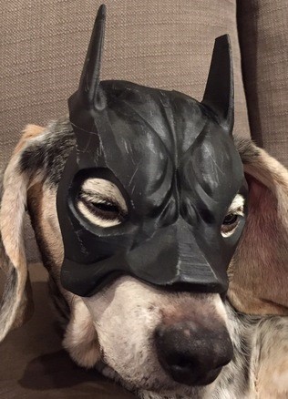 Batman dog mask