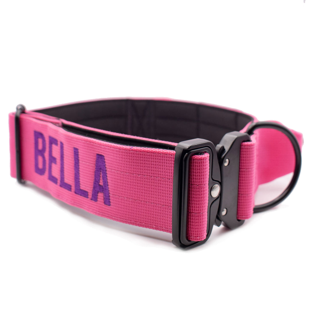Bully Proof Collar