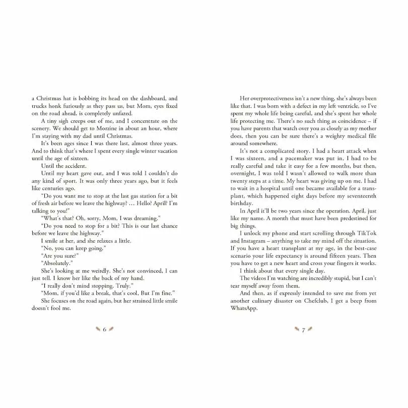 Christmas Advent Book