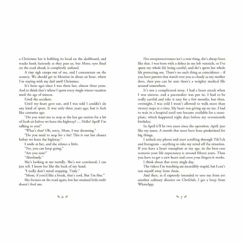 Christmas Advent Book