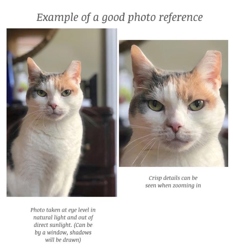 Custom Pet Portrait Ceramics Ornament from Your Photographs, Cat, Dog, Horse