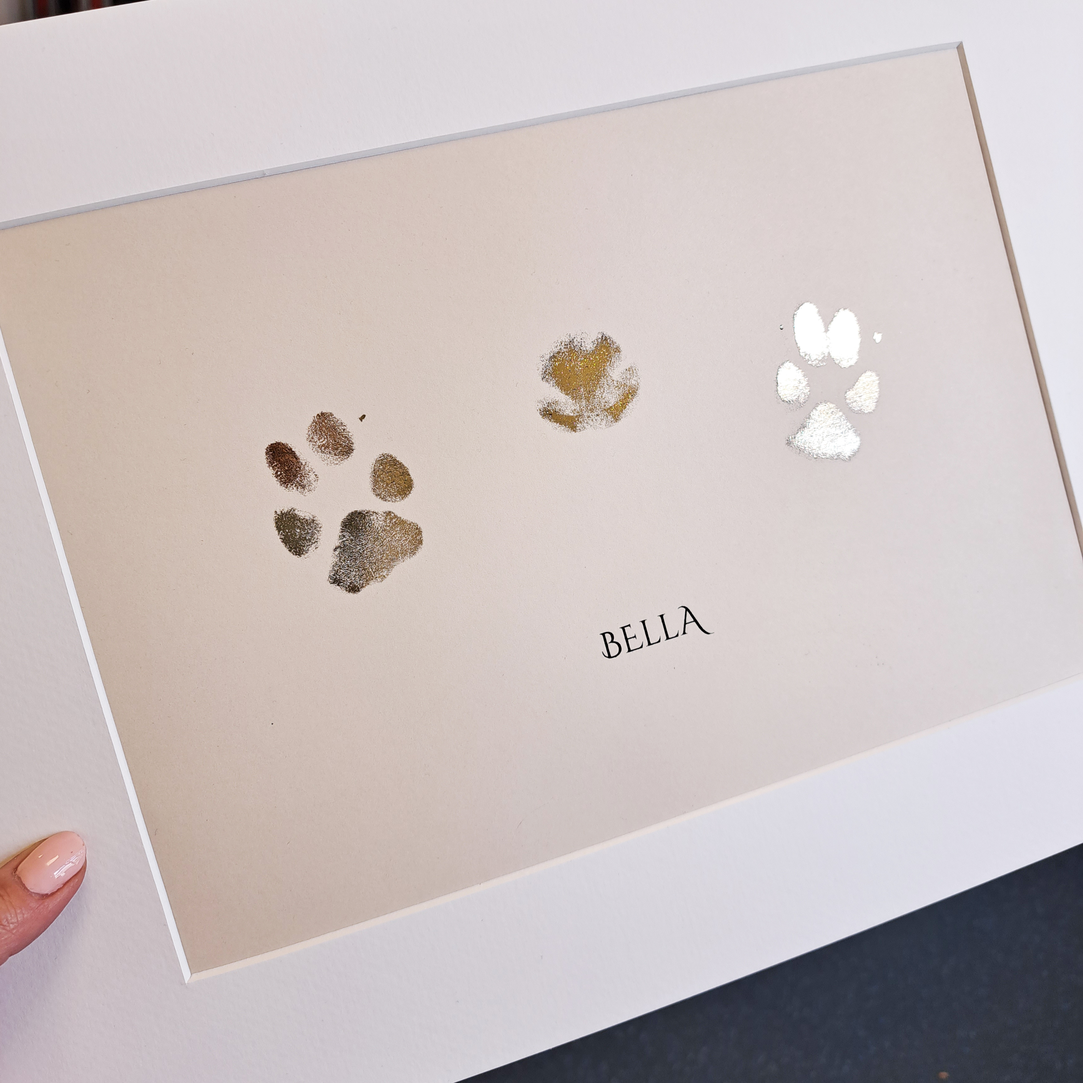 A4 Pet Paw And Nose Foiled Print