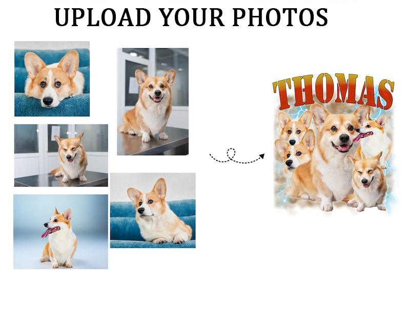 Custom Printing Vintage Hip Hop Vintage Pet Sweatshirt