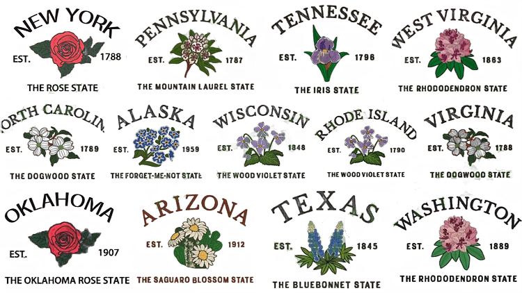 CUSTOM EMBROIDERED STATE FLOWER SWEATSHIRT