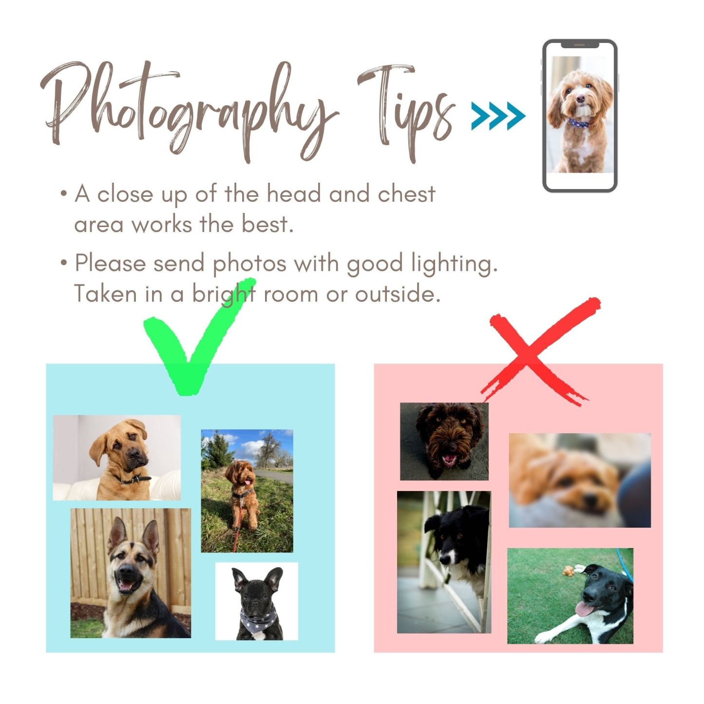 Custom Pet Blanket Pet Portrait Blanket