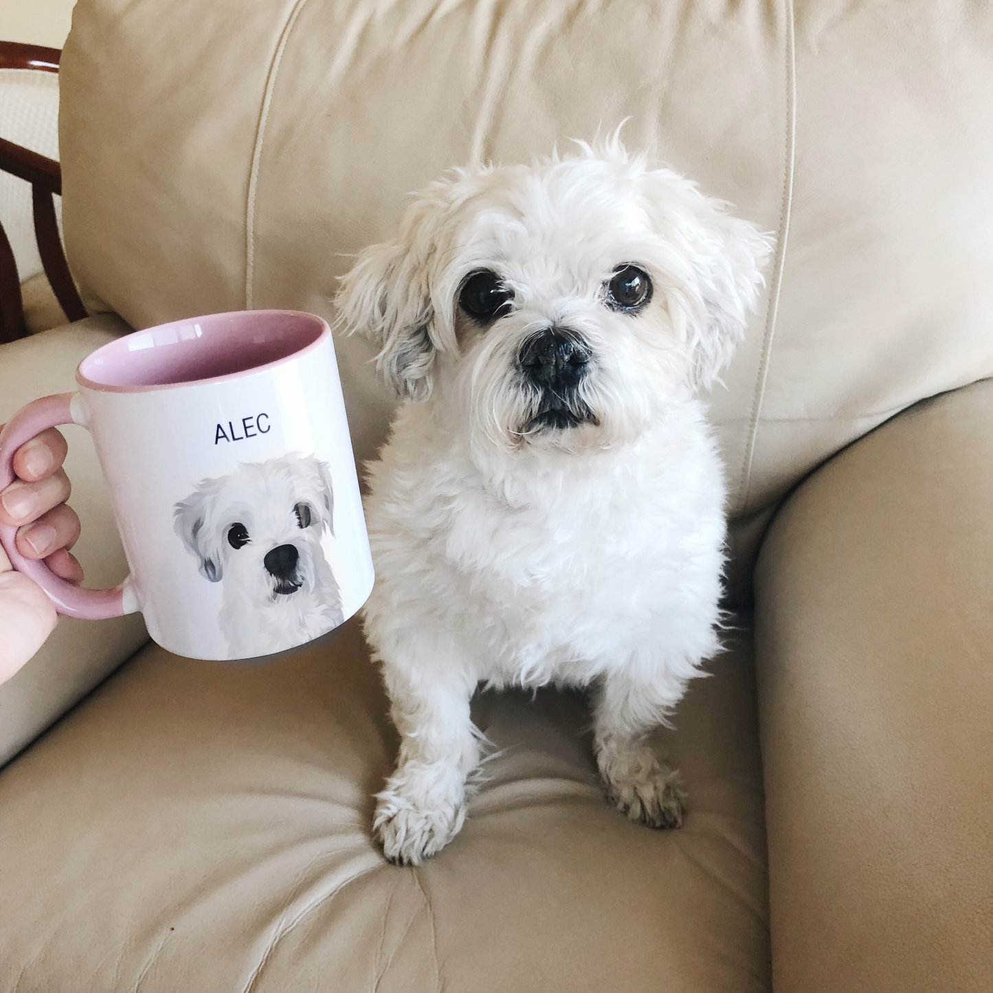 Custom Pet Cartoon Portrait Mug
