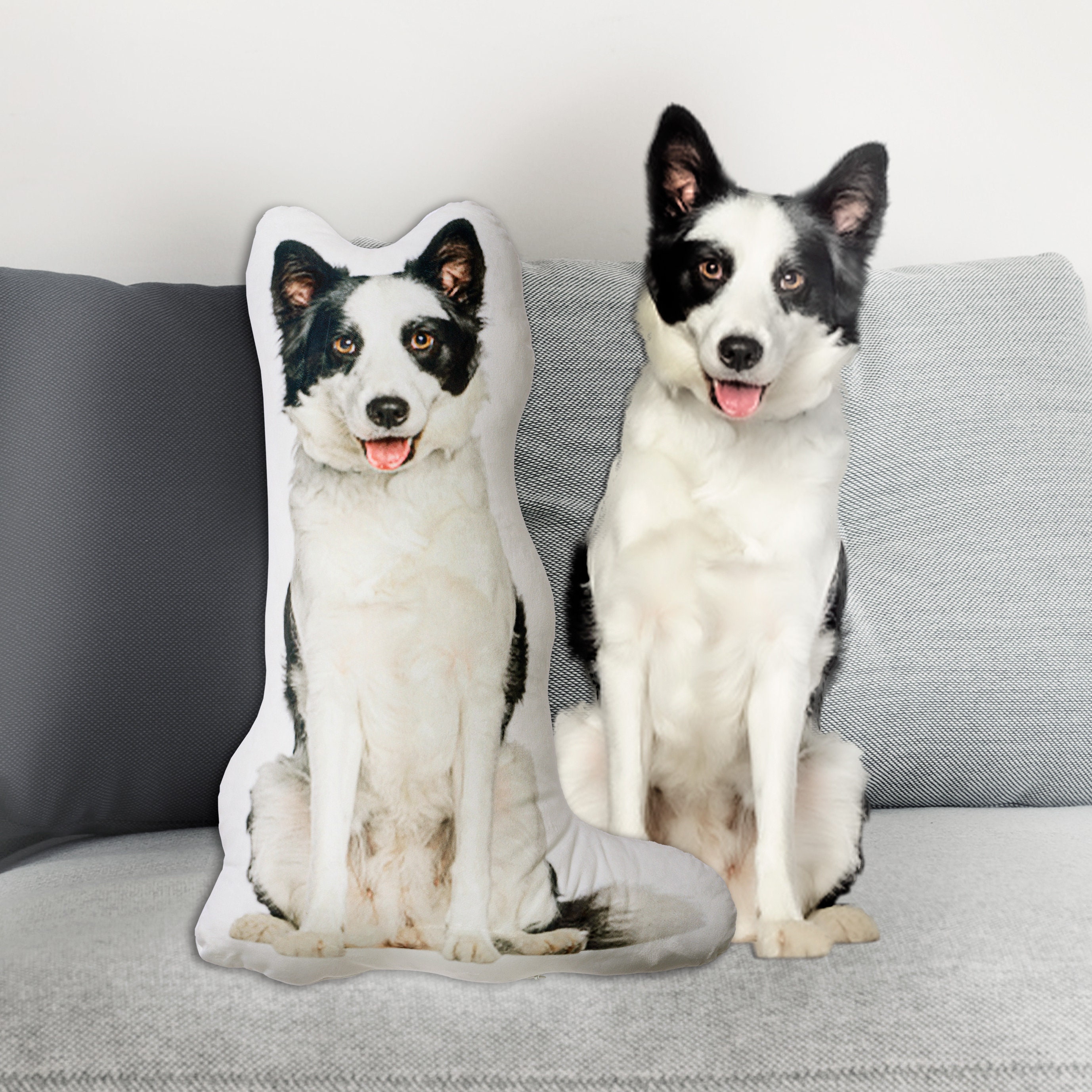 Personalized Pet Pillow, Custom Animal Decorative Pillow, Dog And Cat Cushion, Pet Lover Gift, Personalized Pillow
