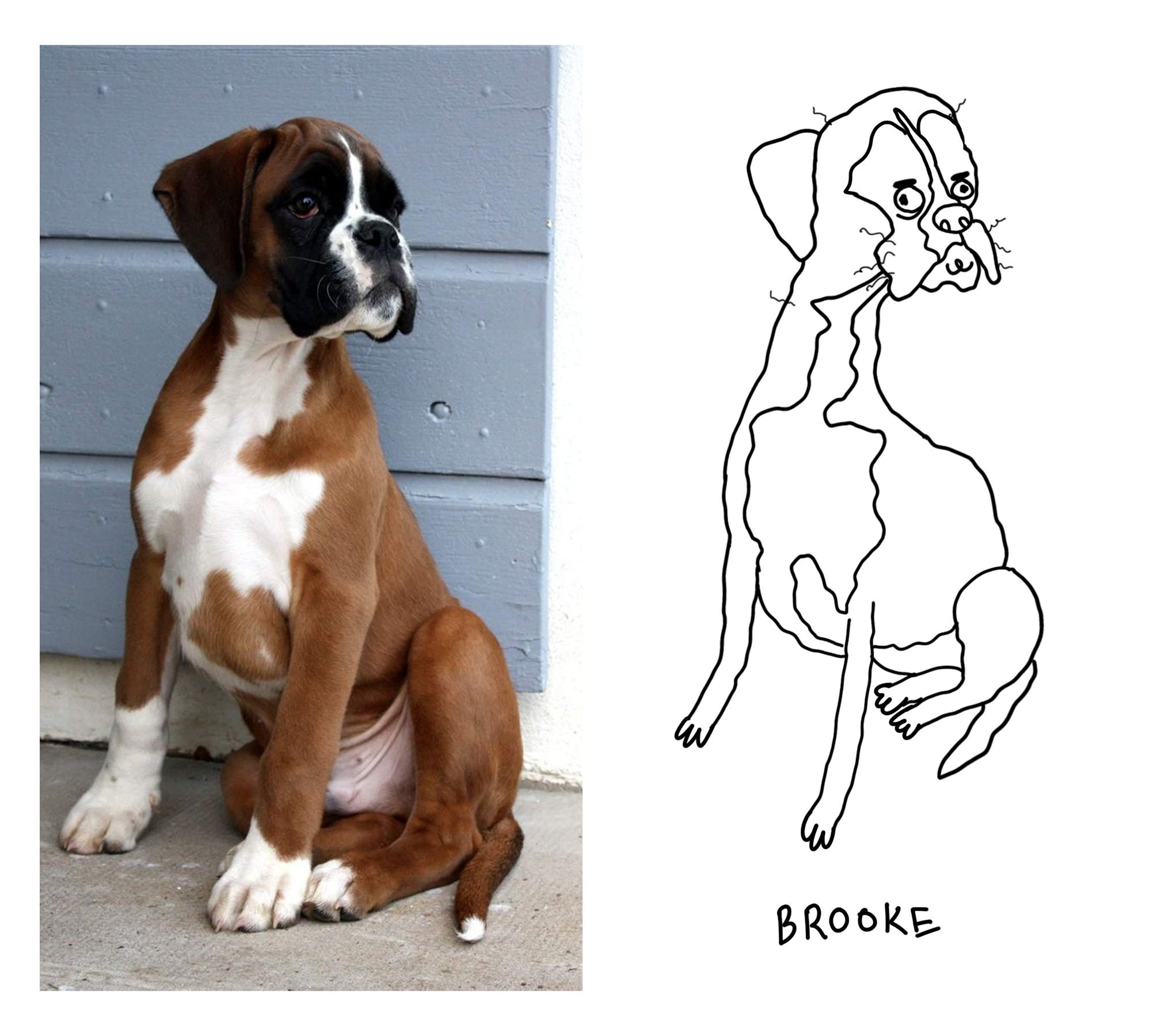 Custom Pet Portrait Ugly Pet Portrait Bad Portrait Bad Pet Portrait 