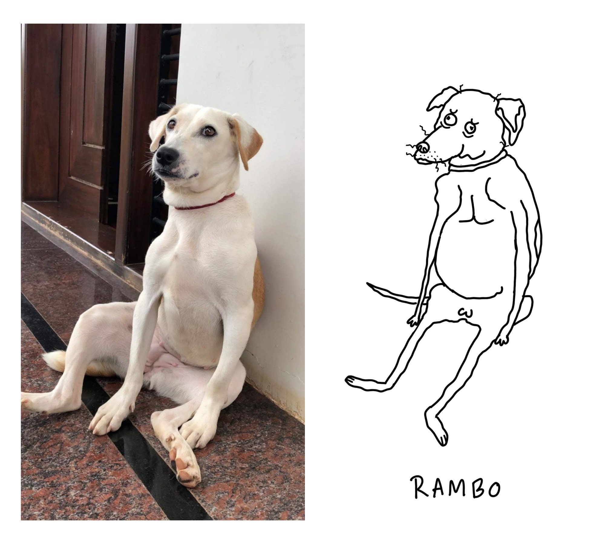 Custom Pet Portrait Ugly Pet Portrait Bad Portrait Bad Pet Portrait 