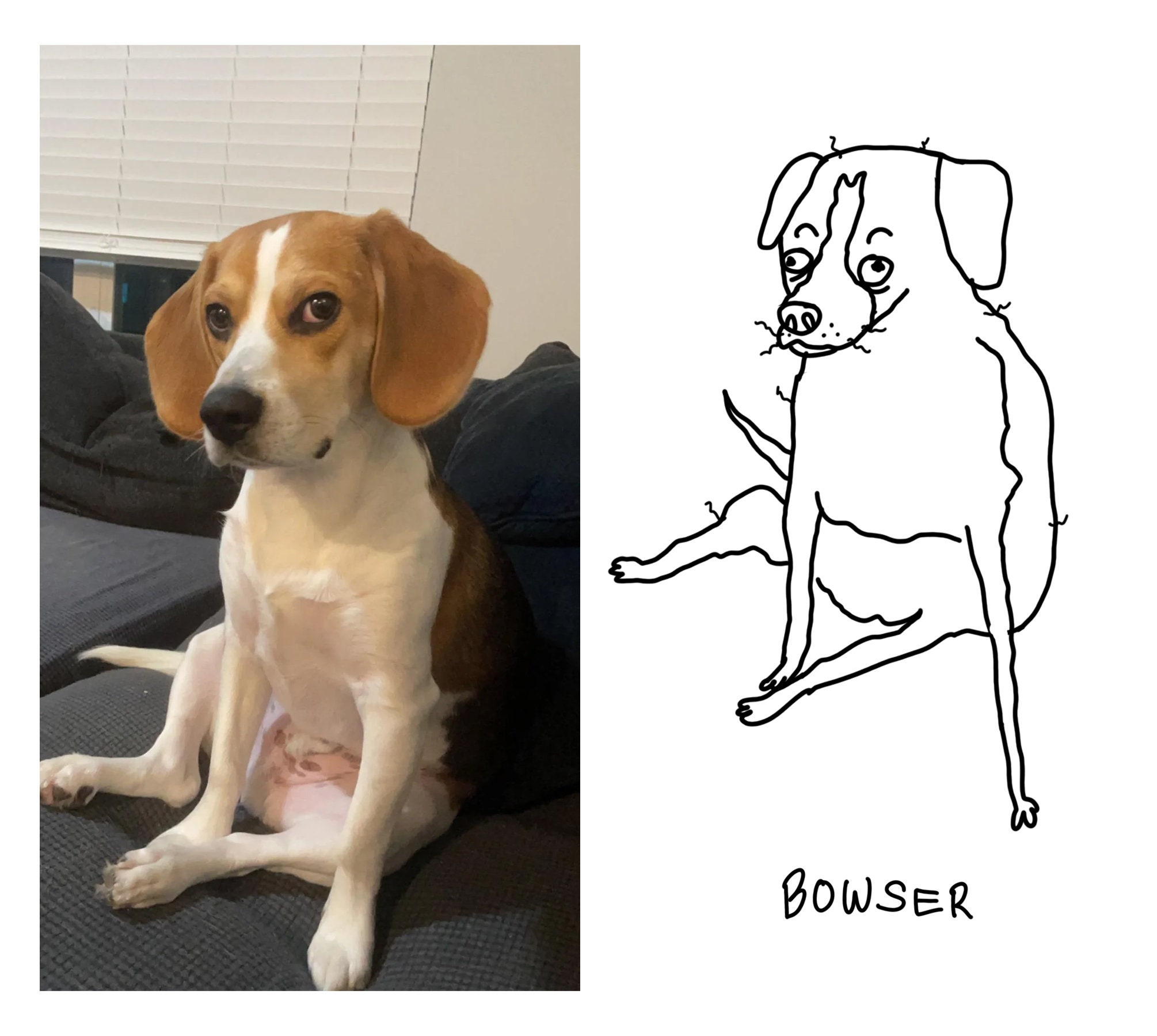 Custom Pet Portrait Ugly Pet Portrait Bad Portrait Bad Pet Portrait 