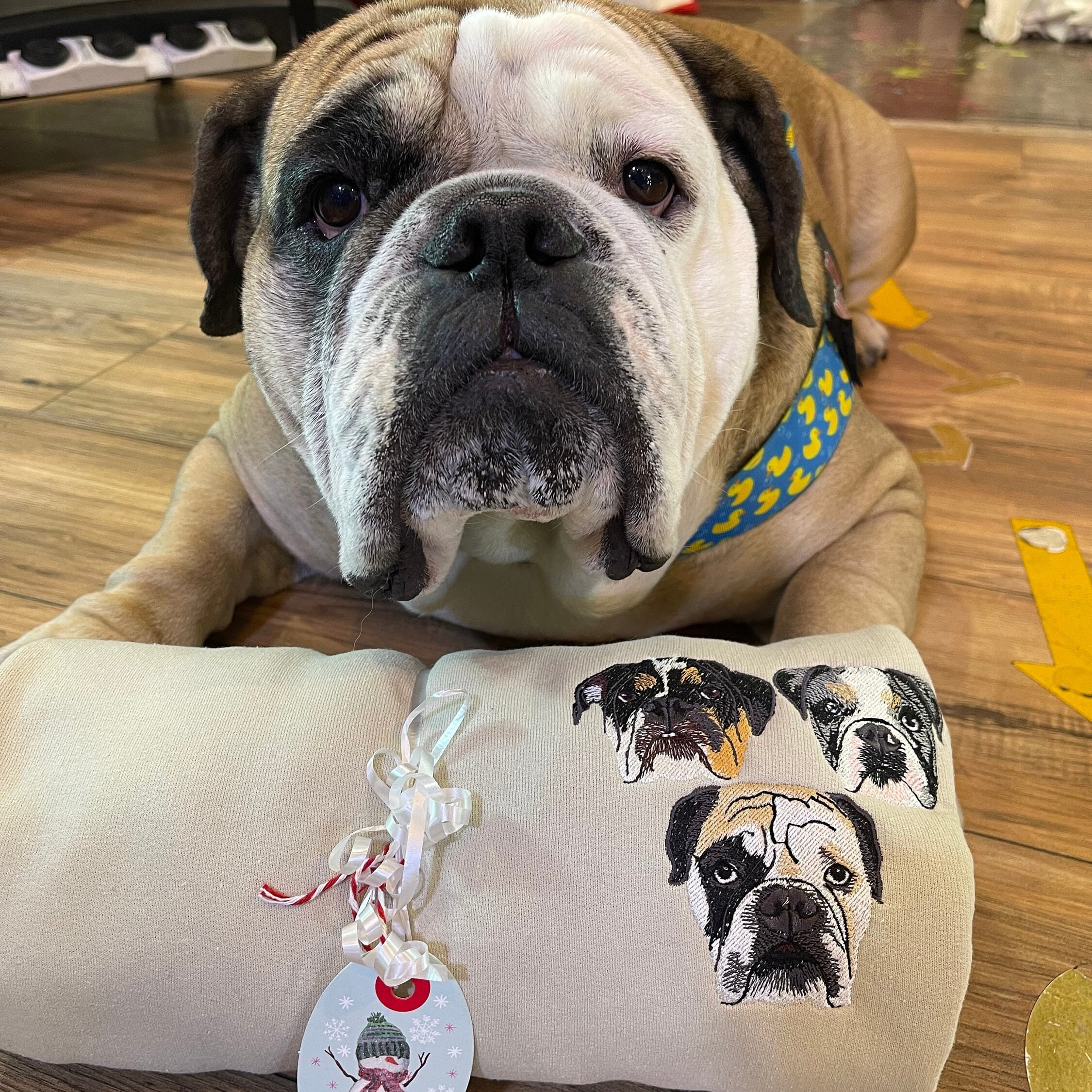 Custom Pet Face Sweatshirt – Personalized Dog & Cat Portraits, Pet Memorial Gifts, Ideal for Dog Moms & Cat Moms