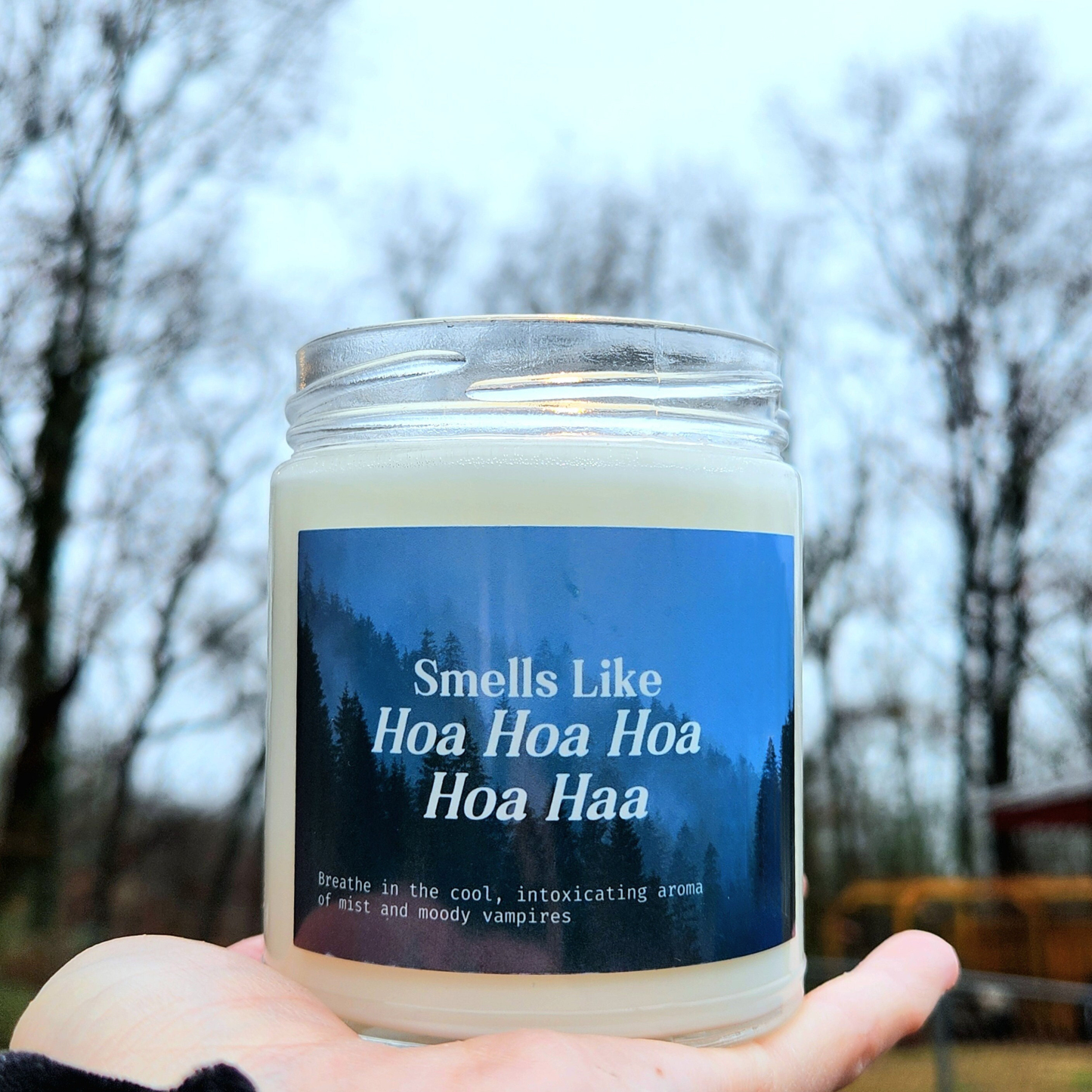 Twilight Soy Candle, Edward Cullen Bella Swan Candle, Hoa Hoa Song Twilight Merch Gifts, Natural Soy Funny Candle, Bookish Merch Gift