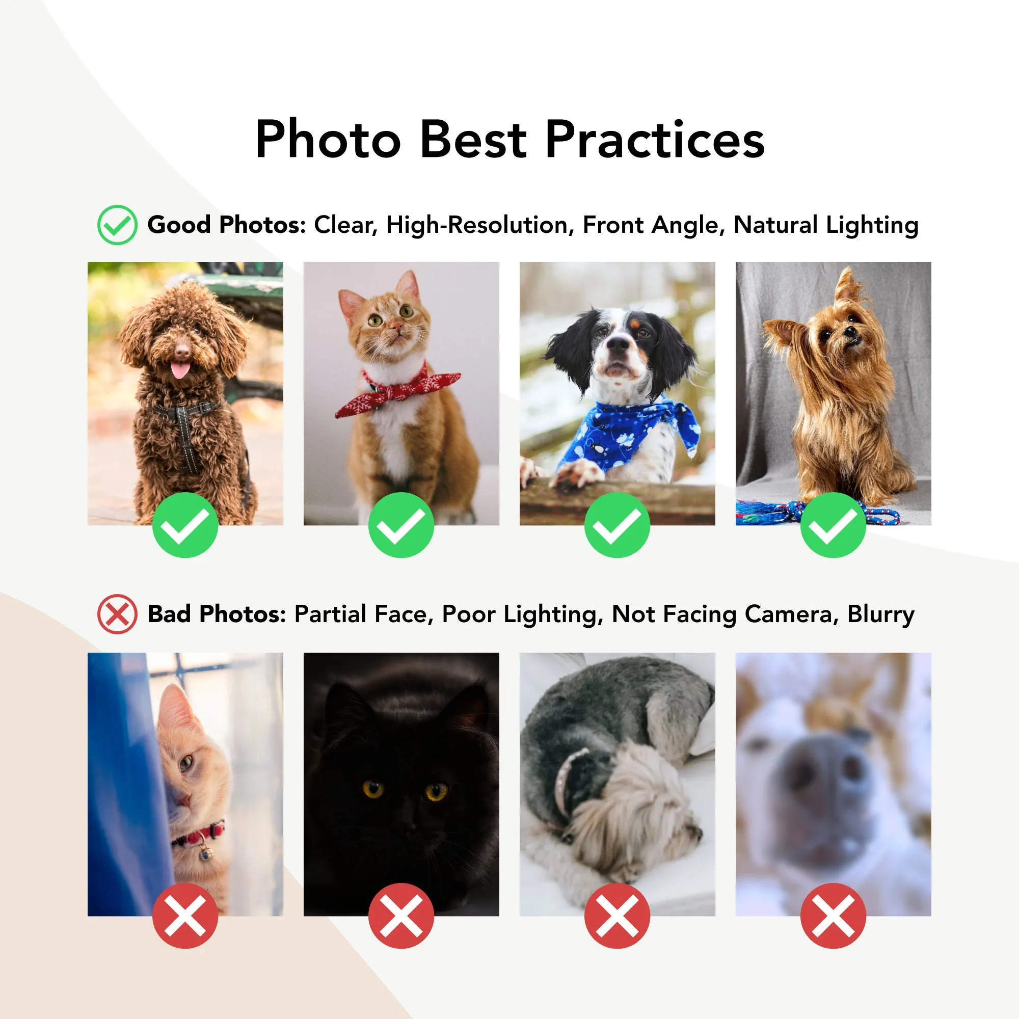 Pet Portrait Custom Airbrush Photo-Realistic, Hand Painted from Your Image Tee, Sweatshirt Hoodie