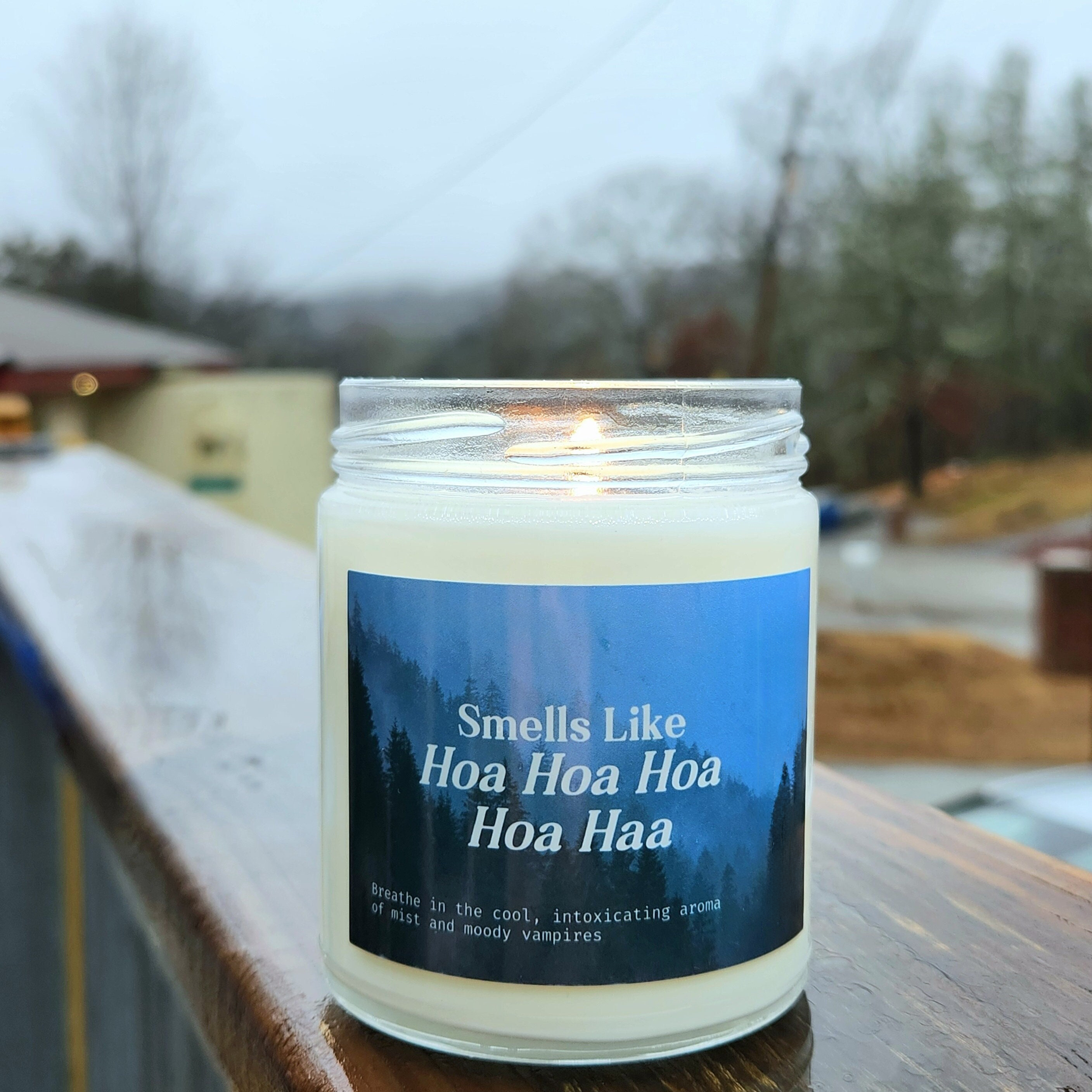 Twilight Soy Candle, Edward Cullen Bella Swan Candle, Hoa Hoa Song Twilight Merch Gifts, Natural Soy Funny Candle, Bookish Merch Gift