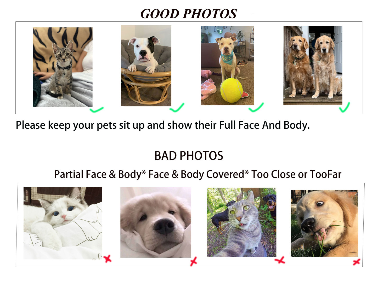 Custom Pet Photo & Name Hat – Personalized Dog or Cat Portrait Embroidery