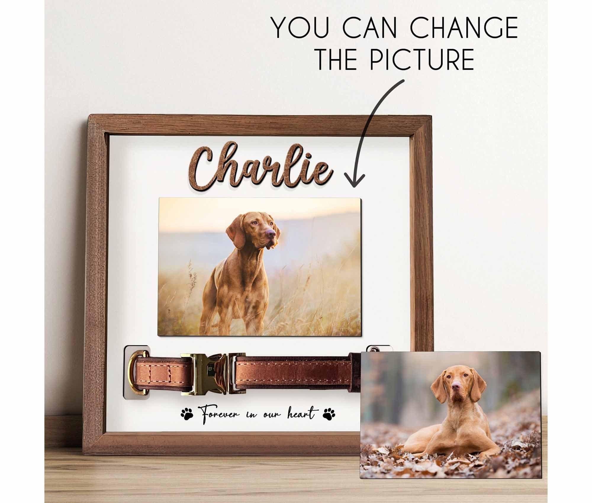 Custom Memorial Pet Collar Sign - Heartfelt Dog & Cat Memorial Wood Frame with Collar Holder, Perfect Pet Loss Sympathy Gift