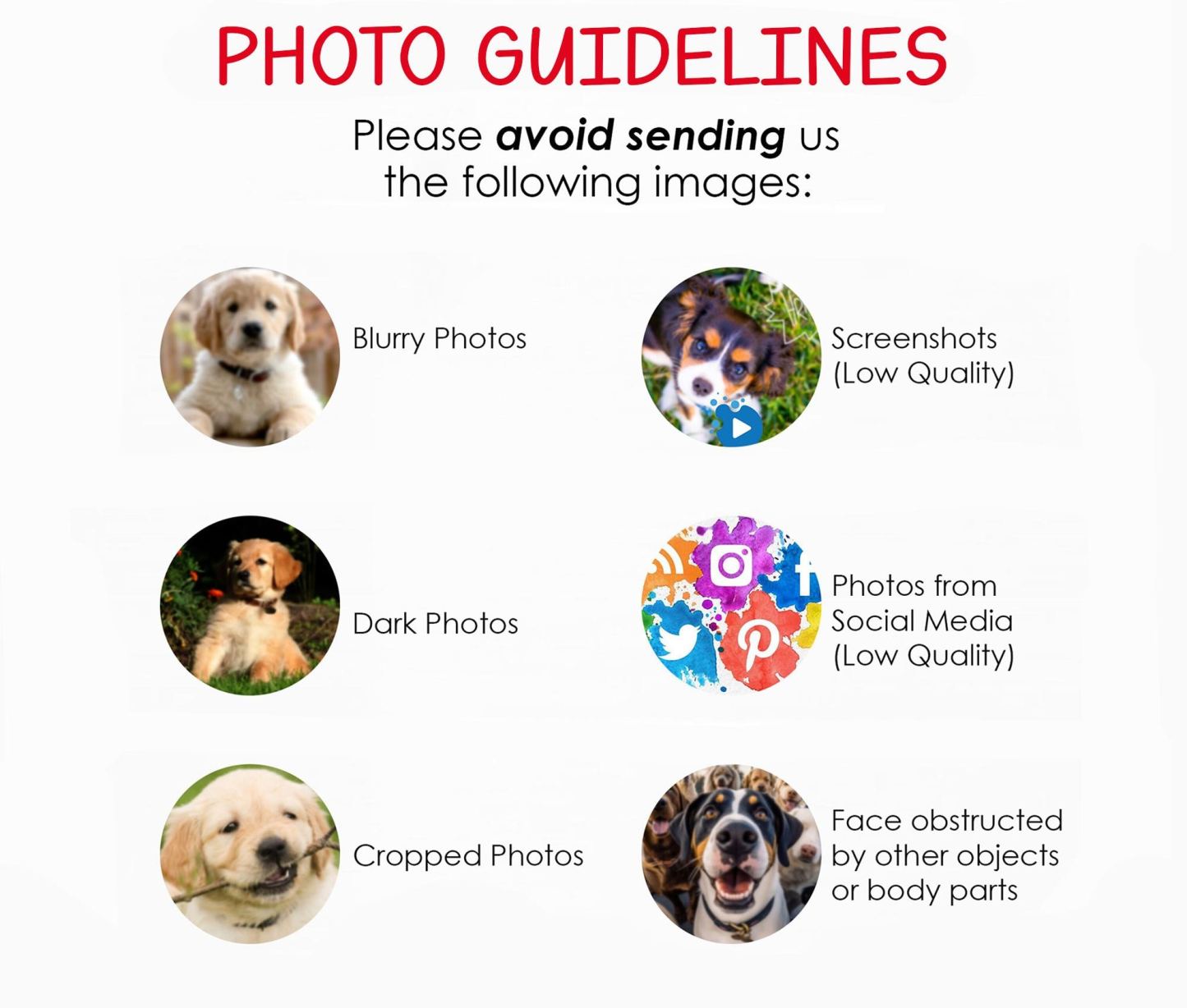 Custom Memorial Pet Collar Sign - Heartfelt Dog & Cat Memorial Wood Frame with Collar Holder, Perfect Pet Loss Sympathy Gift