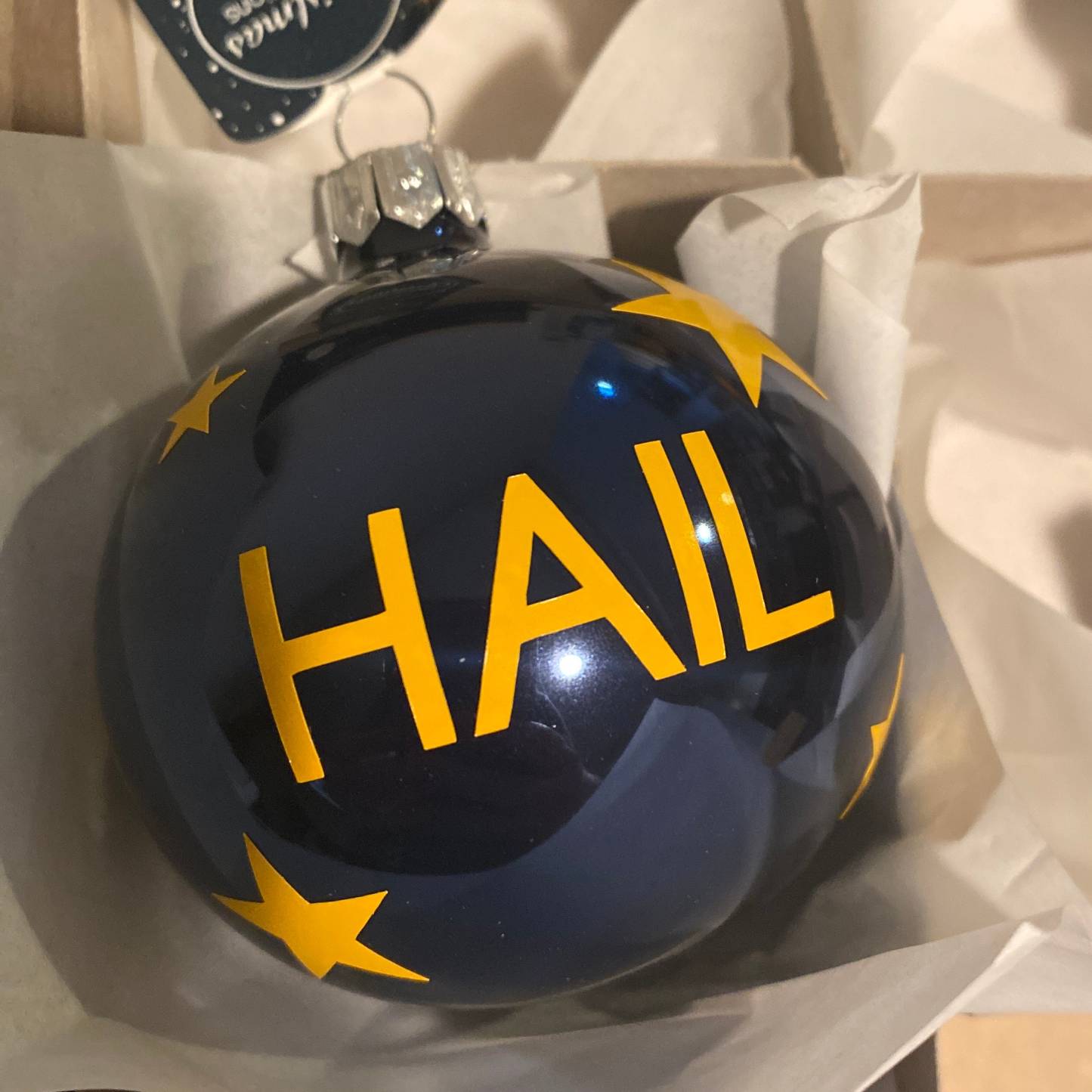 Maize and Blue Michigan Ornaments - Perfect Holiday Gift for the U of M Fan, Student, Alumni, Parent