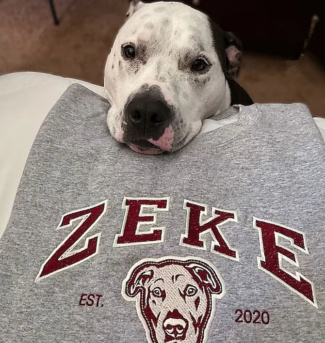 Personalized Embroidered Sweatshirt with Pets Name, Custom Dog Face Hoodie