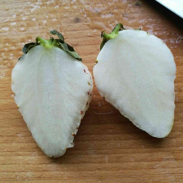1 Bag Rare Milk Strawberry Seeds-Plantjoyfarm-Fruit Seeds,best selling