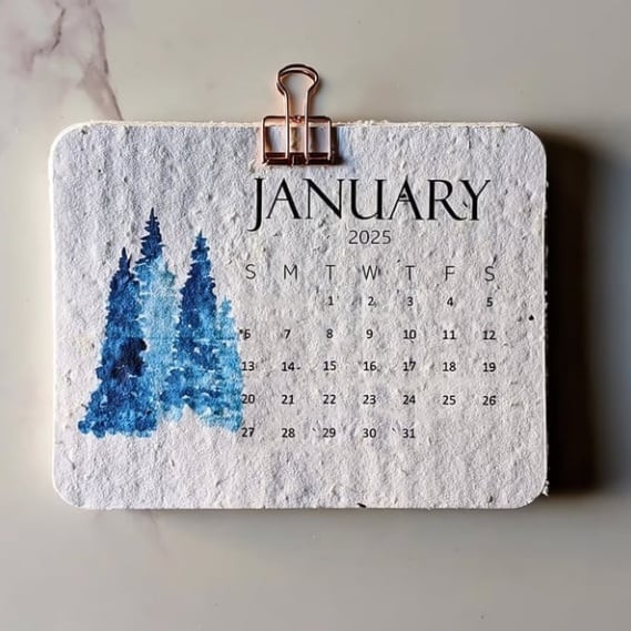 🌱2025 Eco-Friendly Plantable Seed Calendar