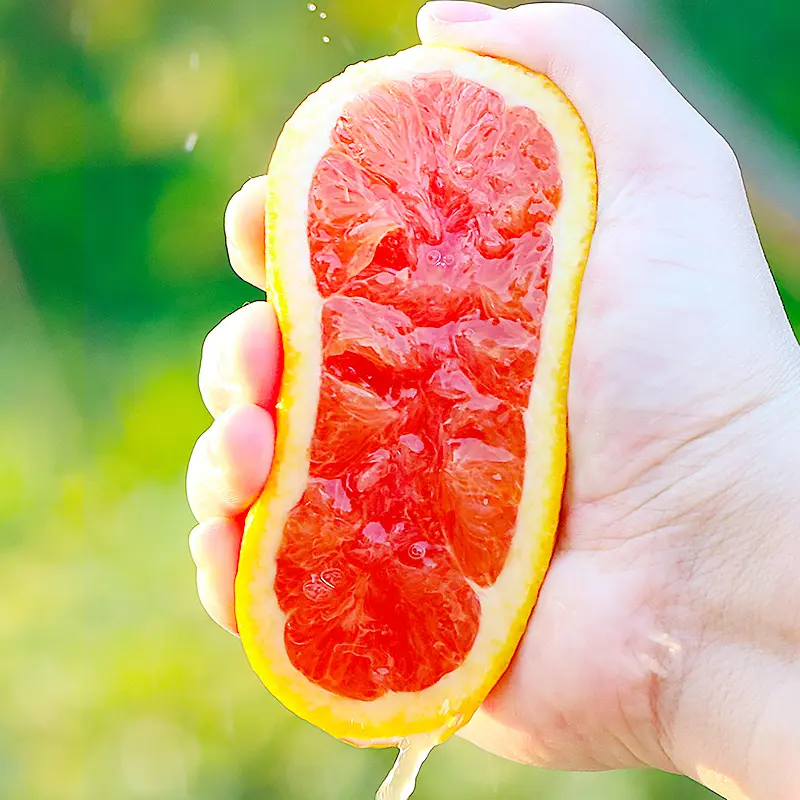 Red Flesh Blood Orange Seeds(🪴Can be potted)-Plantjoyfarm-