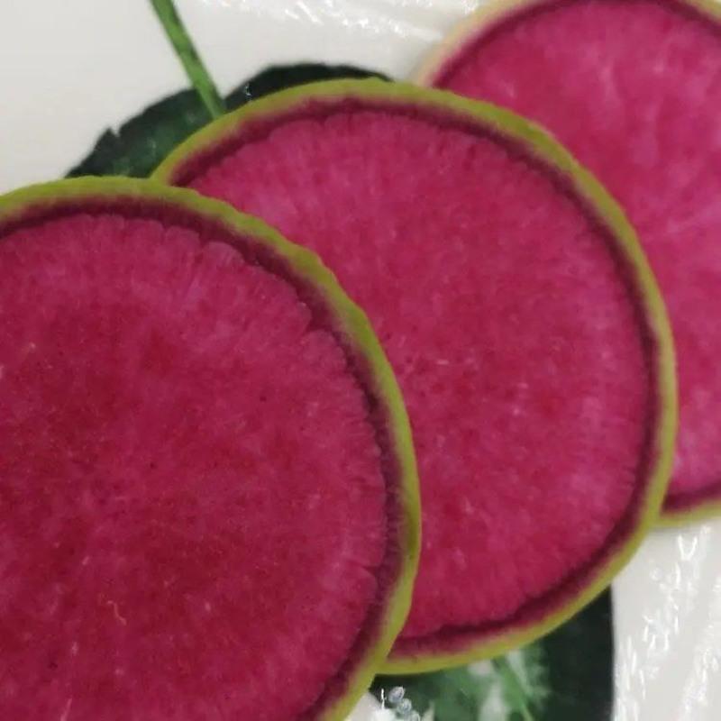 Radish Watermelon Seeds-Plantjoyfarm-Vegetable Seeds,best selling