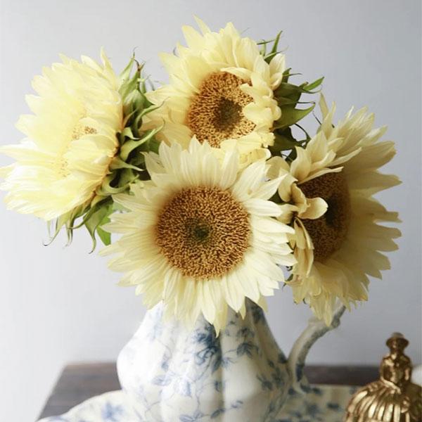Butter Sunflower Seeds-Plantjoyfarm-Sunflower Seeds,best selling