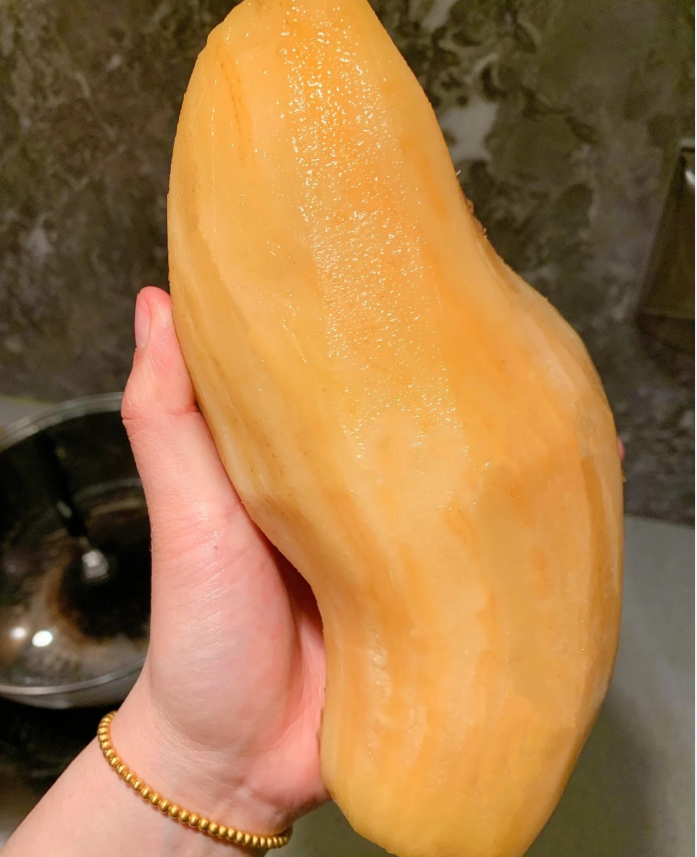 YACON FRUIT SEEDS-Plantjoyfarm-