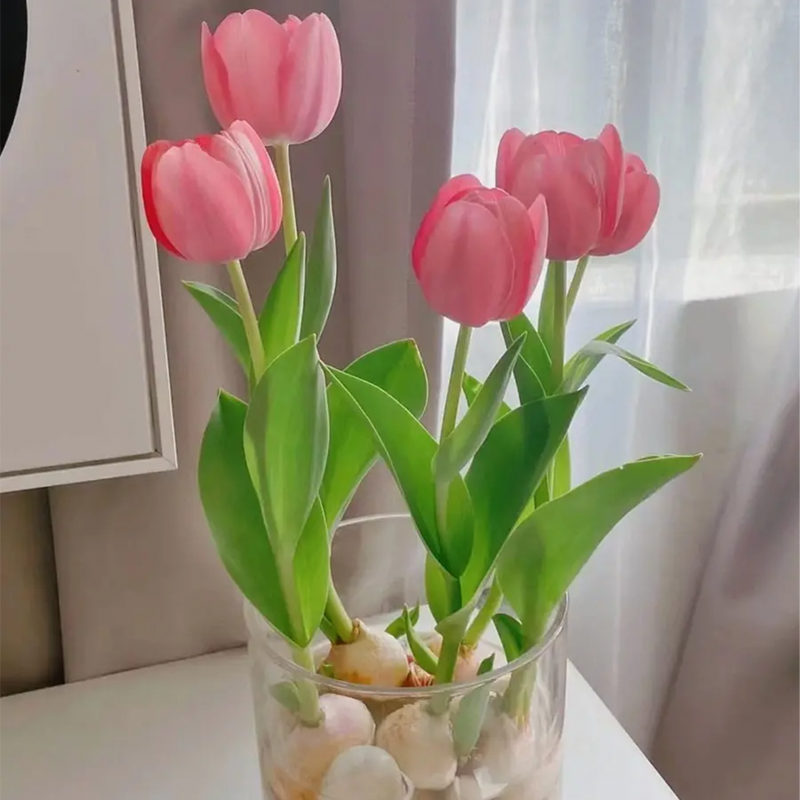 Tulip Bulbs - Marie Pink-Plantjoyfarm-Flower Seeds,flower bulb