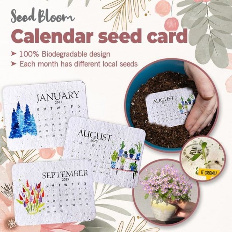 🌱2025 Eco-Friendly Plantable Seed Calendar