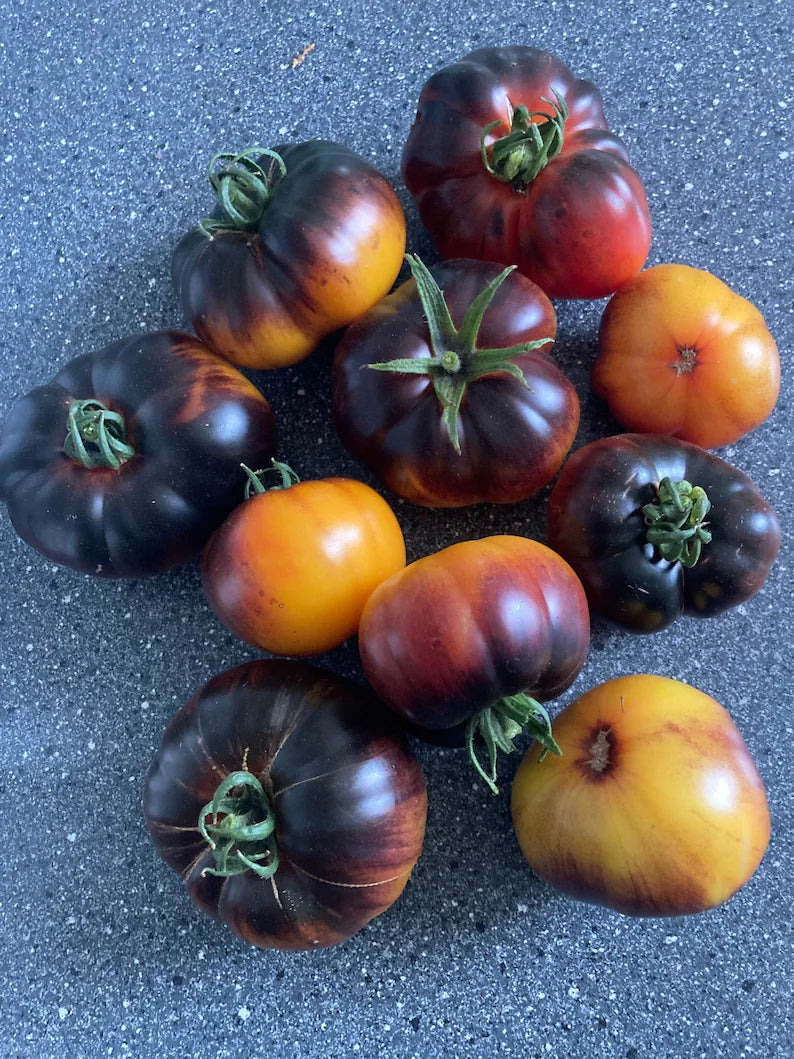 Lucid Gem Tomato Seeds Organic, Heirloom Tomatoes-Plantjoyfarm-new,vegetable