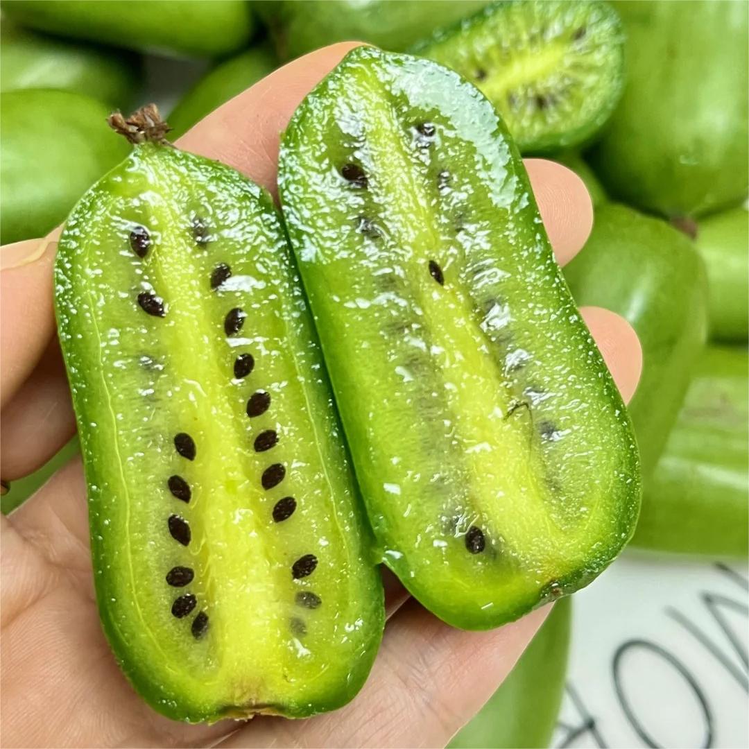 Soft Date Kiwi Fruit Seeds-Plantjoyfarm-