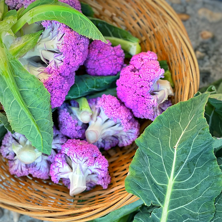 Purple Cauliflower Seed-Plantjoyfarm-Vegetable Seeds,best selling