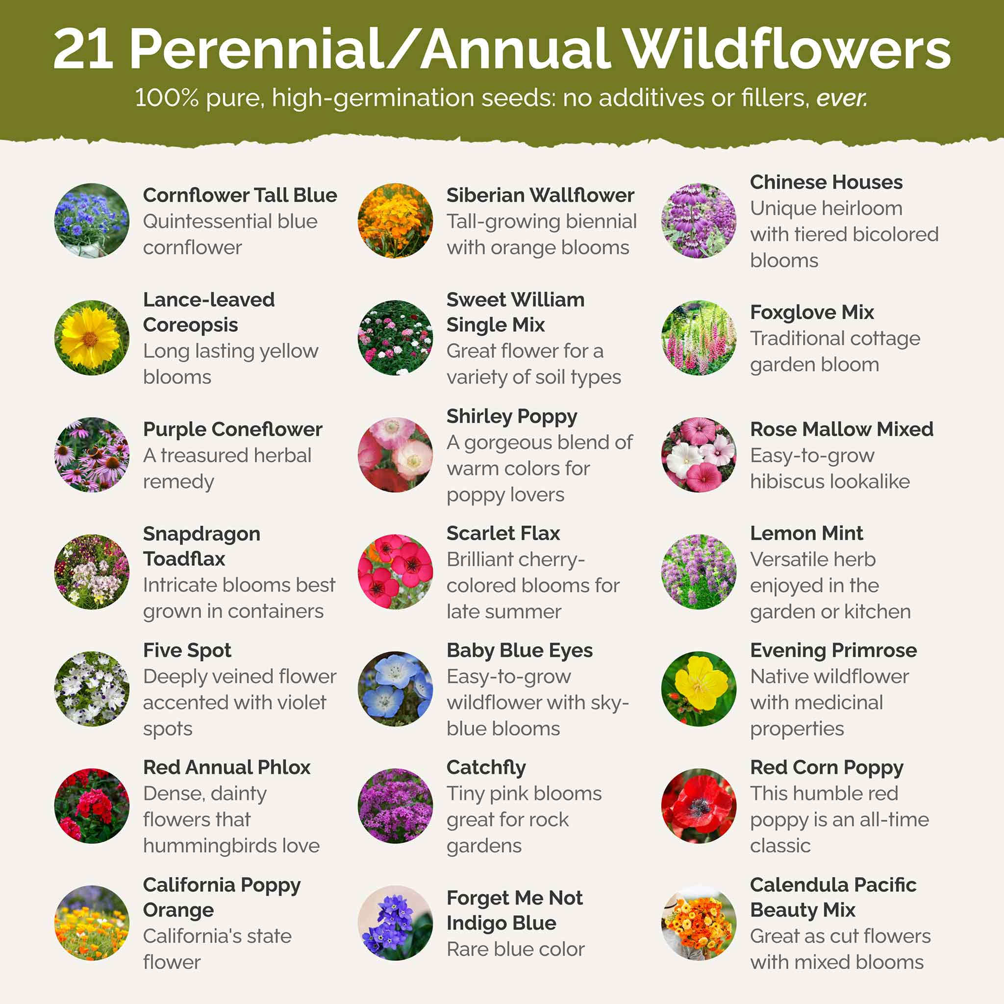 Partial Shade Wildflower Seed Mix-Plantjoyfarm-Flower Seeds