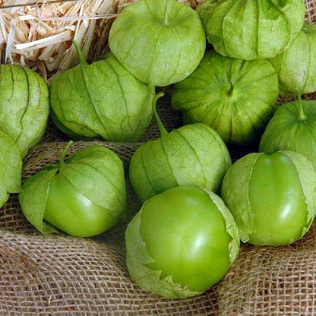 Super Verde Tomatillo Seeds-Plantjoyfarm-Fruit Seeds,Garden Seeds,best selling