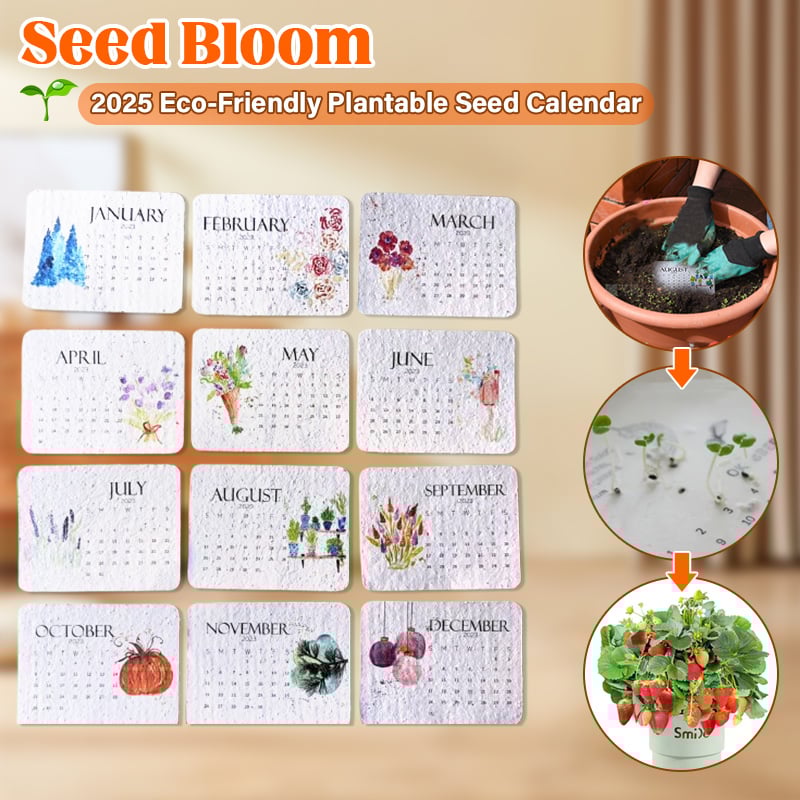 🌱2025 Eco-Friendly Plantable Seed Calendar
