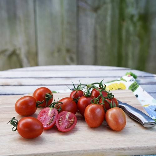 Garden Gem Tomatoes-Plantjoyfarm-Fruit Seeds