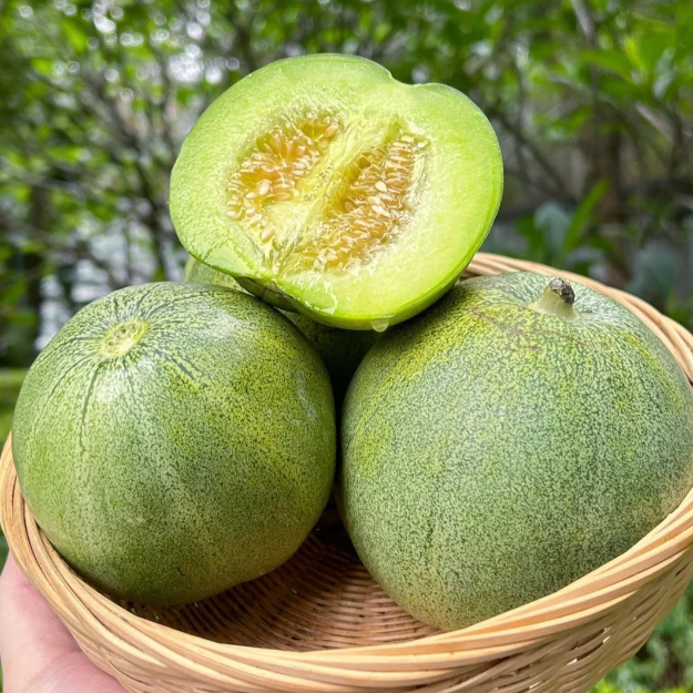 🍈Emerald No. 2 Sweet Melon-Plantjoyfarm-best selling,Fruit Seeds